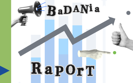Raporty z badań przeprowadzonych wśród pracodawców i potencjalnych realizatorów usługi zatrudnienia wspomaganego w Polsce
